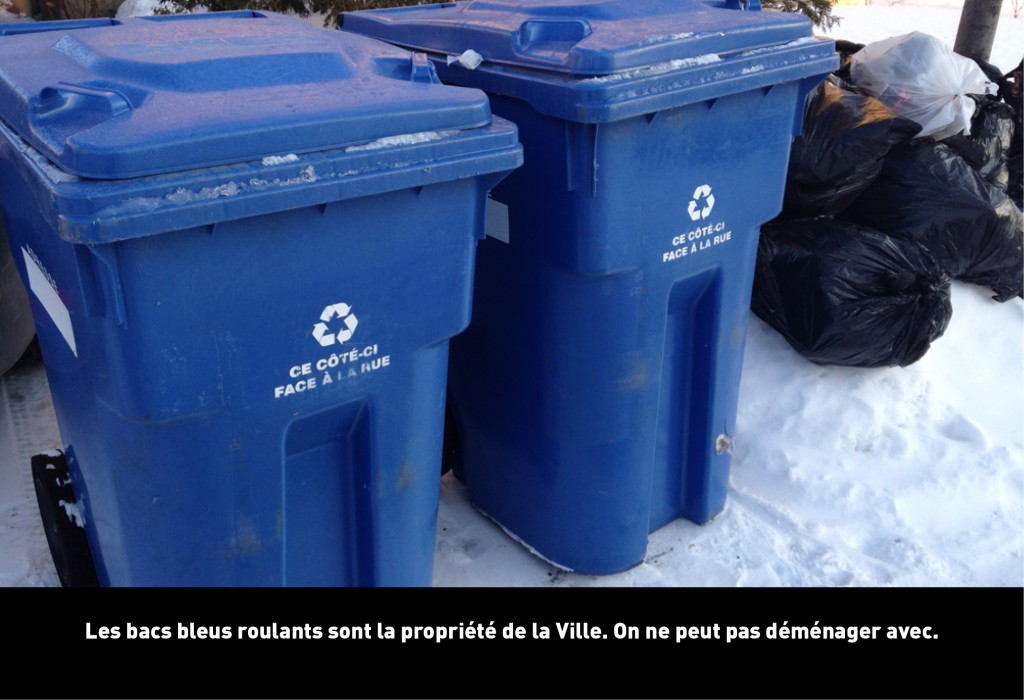 bacs bleus