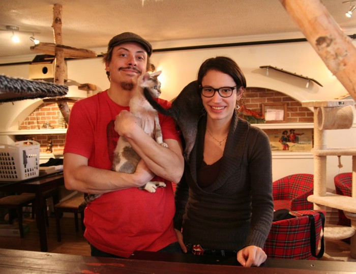 Ma langue aux chats: Un 1er café félin à Québec