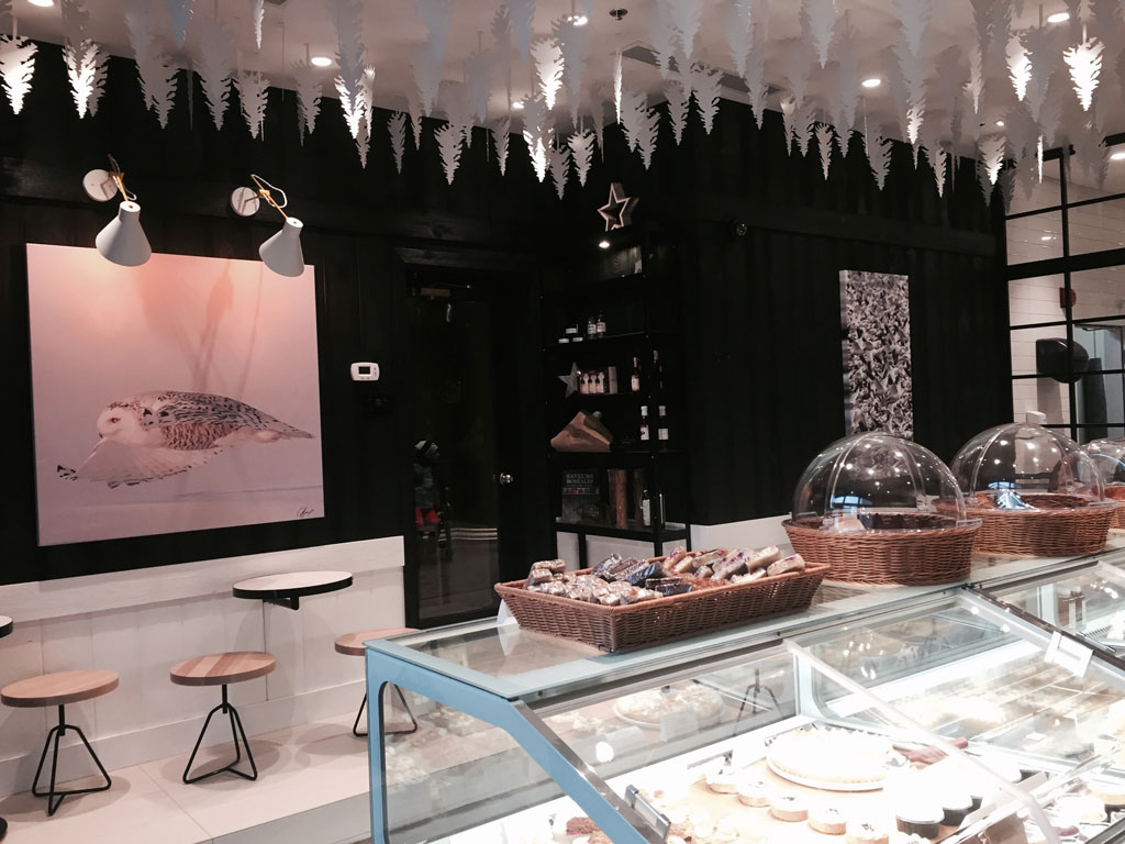 Ouverture du Comptoir Boréal