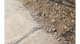 Mégots de cigarette sur le trottoir