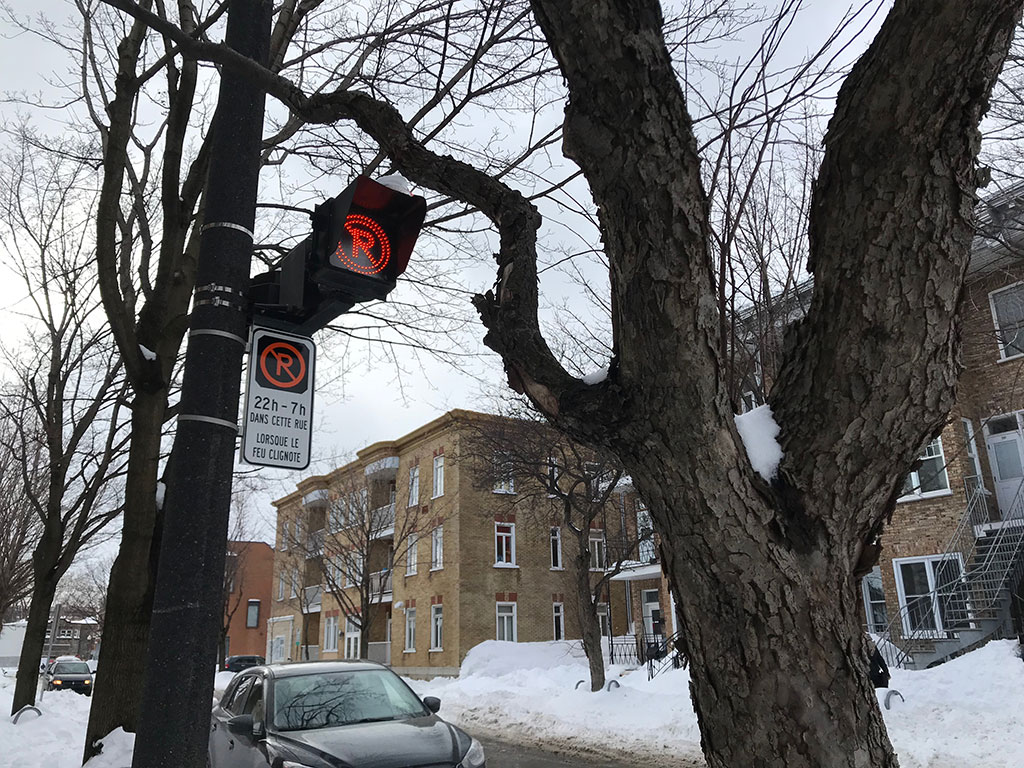 Opération déneigement