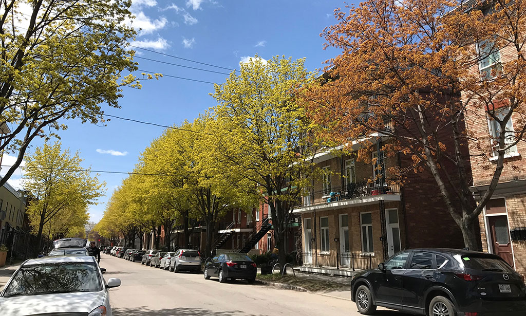 3e Avenue Limoilou
