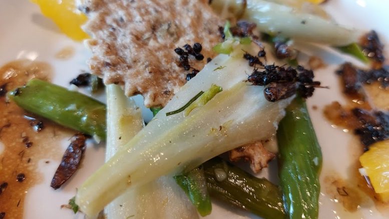 Grillons rôtis, asperges, fenouil, salade d'orange, vinaigrette aux fourmis noires.