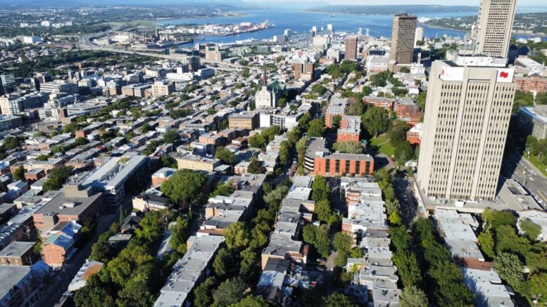 Une belle vue d’une partie de la canopée en Haute-Ville de Québec.