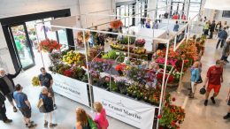 Le Grand Marché 2022