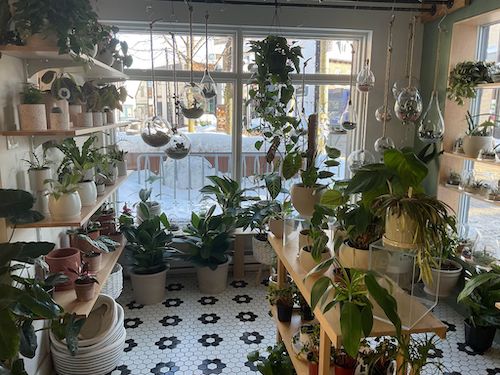 Intérieur de la boutique Jardins Vitrum Hortis