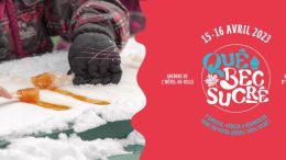 quebec sucre