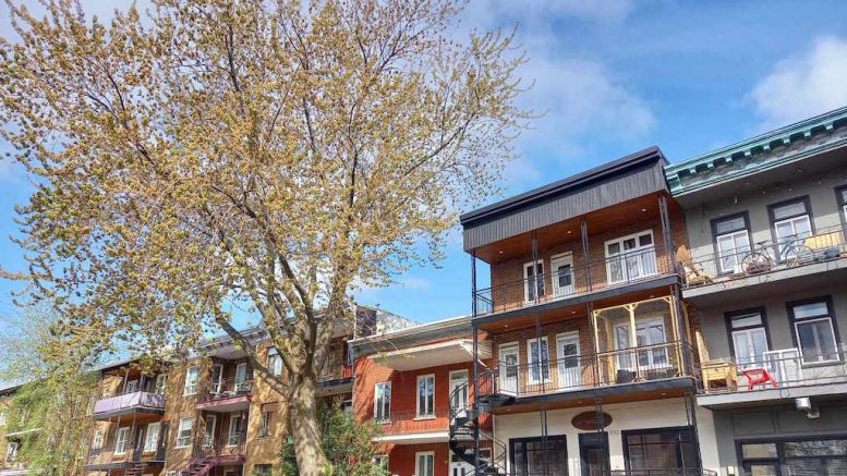 La 5e rue, dans le Vieux-Limoilou. (Crédit photo : Estelle Lévêque)