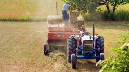 alimentation durable