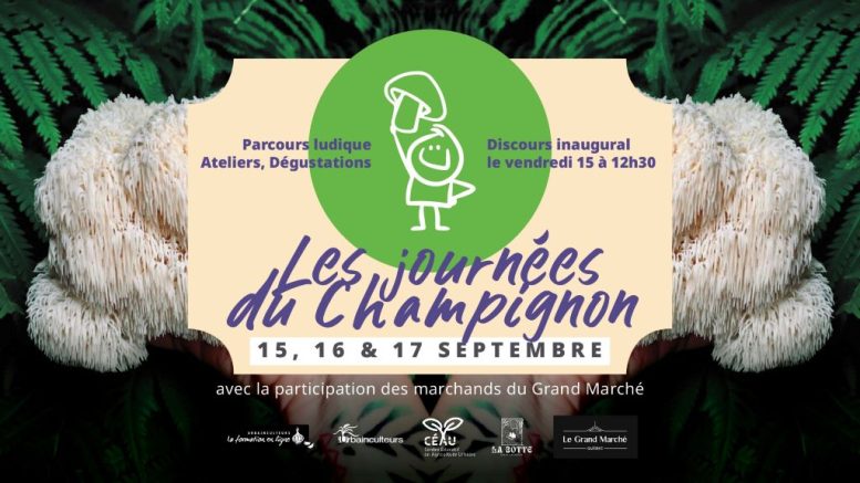 journees champignon