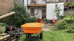 Emprises - Espaces urbains a atteint son objectif de 100 arbres plantés en 2023, dans le quartier Limoilou. (Crédit photo : Mathieu Caron - Emprises)