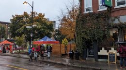 Parmi les actions menées par Concertation Saint-Sauveur, la Fête d'Halloween 2023 rassemblait le chantier culture de la table de quartier et plusieurs organismes de Saint-Roch et Saint-Sauveur. (Crédit photo : Courtoisie)