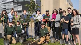 Un groupe du Cégep de Sainte-Foy a effectué des plantations d'arbres.