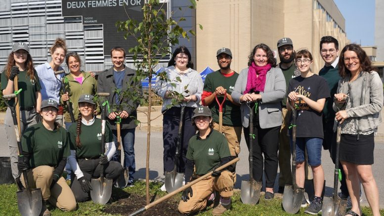 Un groupe du Cégep de Sainte-Foy a effectué des plantations d'arbres.