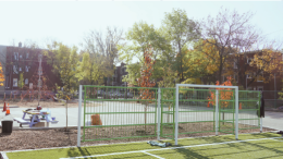 La cour de l'école Anne-Hébert à l'automne 2024. (Crédit photo : Conseil régional en environnement)