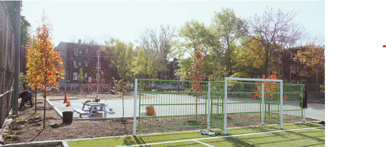 La cour de l'école Anne-Hébert à l'automne 2024. (Crédit photo : Conseil régional en environnement)