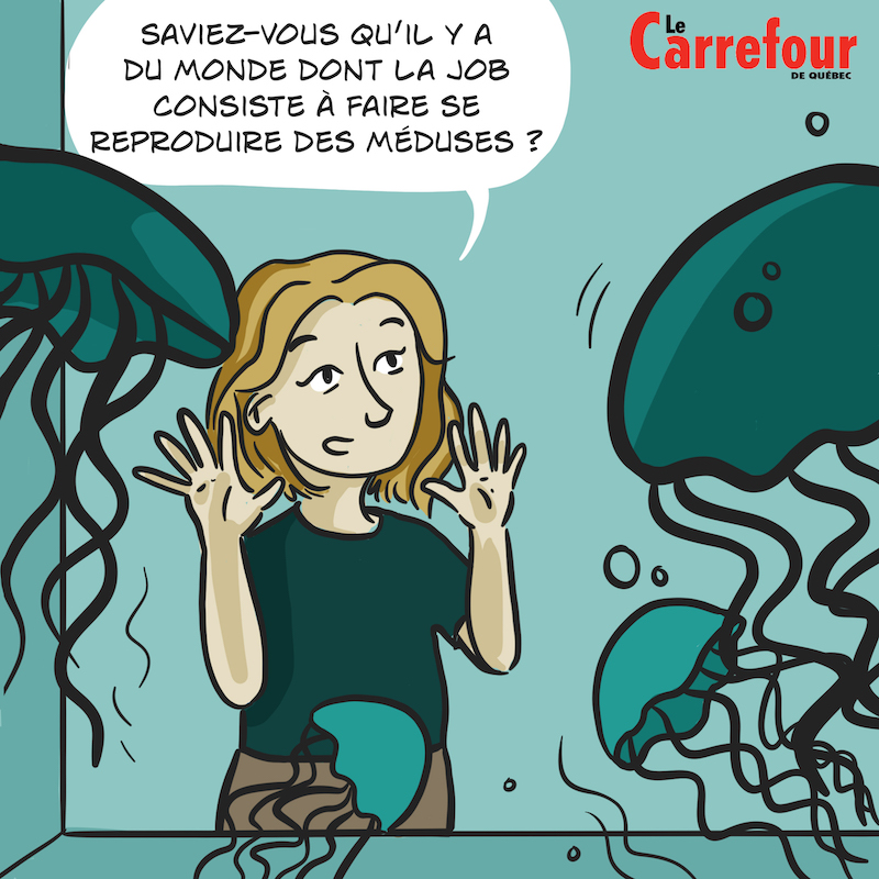Jusqu'à Québec - David Case 1