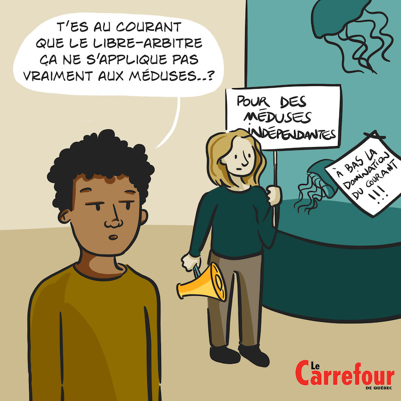 Jusqu'à Québec - David Case 12