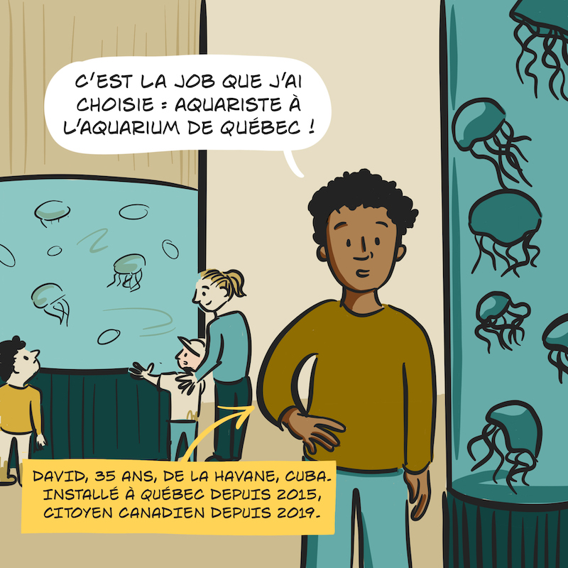 Jusqu'à Québec - David Case 2