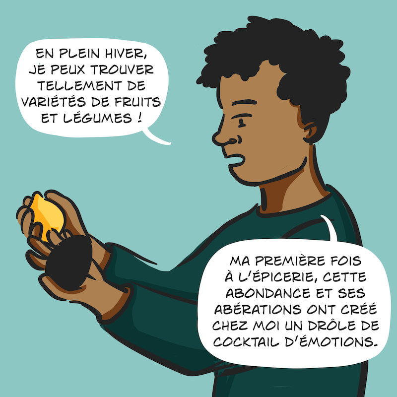 Jusqu'à Québec - David Case 6