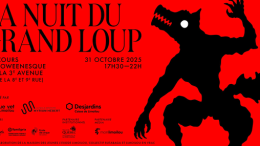 Nuit du Grand Loup