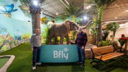 Elie Couture et Stéphane Lavoie, co-fondateurs de BFLY. (Crédit photo: Patrick Beaudry)