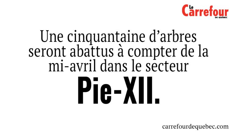 Une cinquantaine d’arbres seront abattus à compter de la mi-avril dans le secteur Pie-XII.