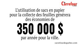 L’utilisation de sacs en papier pour la collecte des feuilles générera des économies de 350 000 $ par année pour la ville.