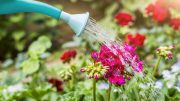 Info-Eau est une plateforme qui informe les citoyens sur les mesures à adopter pour réduire leur consommation d'eau potable. (Photo : Ville de Québec)