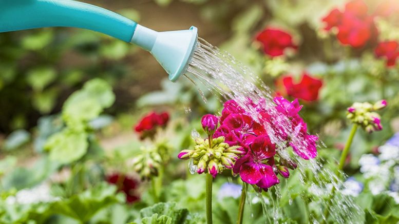 Info-Eau est une plateforme qui informe les citoyens sur les mesures à adopter pour réduire leur consommation d'eau potable. (Photo : Ville de Québec)