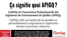 ’APIGQ est l’Association Professionnelle des Ingénieurs du Gouvernement du Québec (APIGQ).