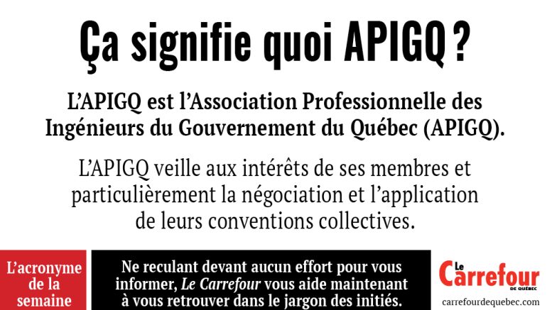 ’APIGQ est l’Association Professionnelle des Ingénieurs du Gouvernement du Québec (APIGQ).