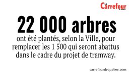 L’administration Marchand maintient sa cible de remplacer chaque arbre abattu par 20 autres.