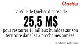 Cette surface équivaut à 40 terrains de football