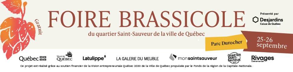 SDC Saint-Sauveur