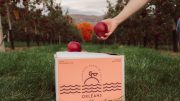 La pomme Orléans est une nouvelle variété de pommes offerte bientôt chez Metro. (Photo: LensBrothers)