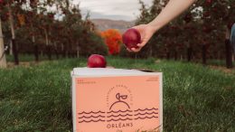La pomme Orléans est une nouvelle variété de pommes offerte bientôt chez Metro. (Photo: LensBrothers)