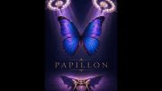 La soirée Papillon est une soirée caritative pour la recherche sur la tumeur cérébral, l'événement aura lieu au Centre Manivelle le 21 novembre. (Image: Facebook)